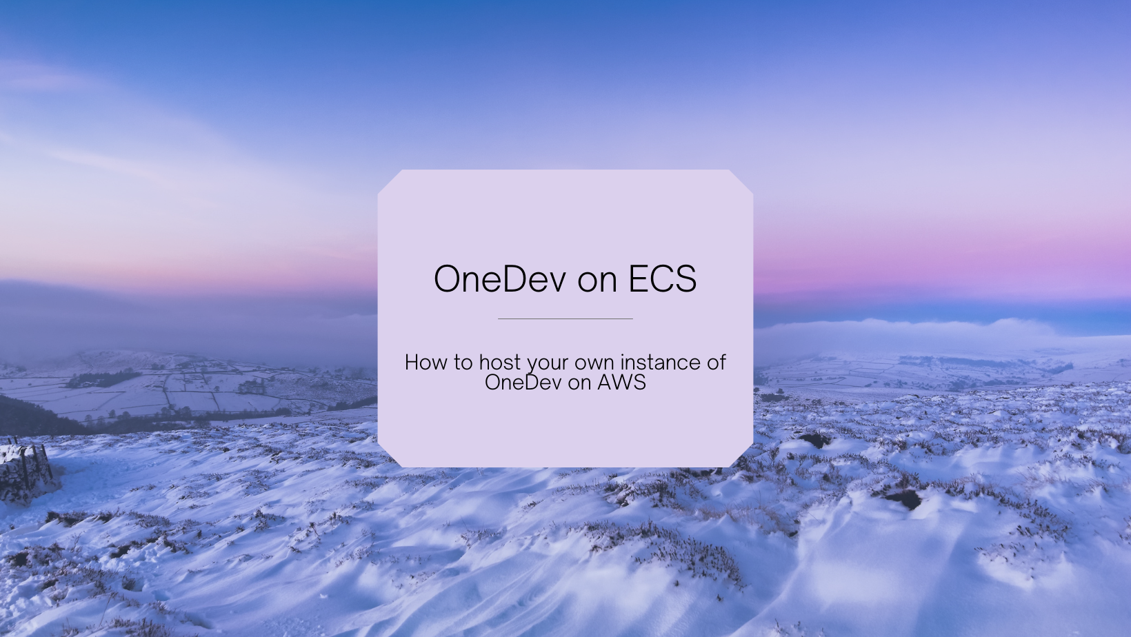 OneDev on ECS